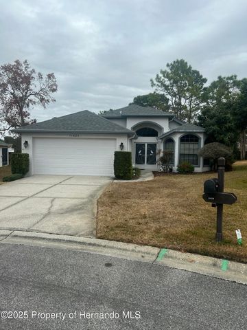 11425 Billingham Boulevard, Spring Hill, FL 34609