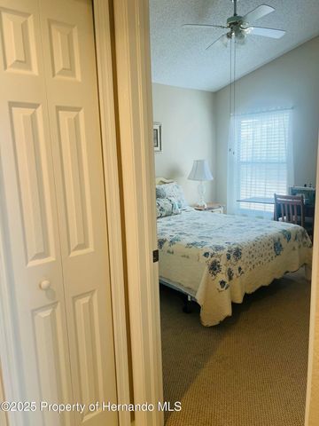 11425 Billingham Boulevard, Spring Hill, FL 34609