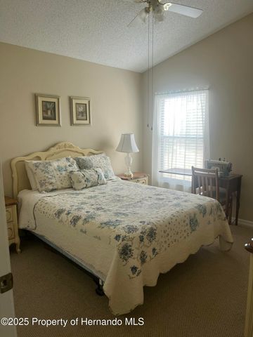 11425 Billingham Boulevard, Spring Hill, FL 34609
