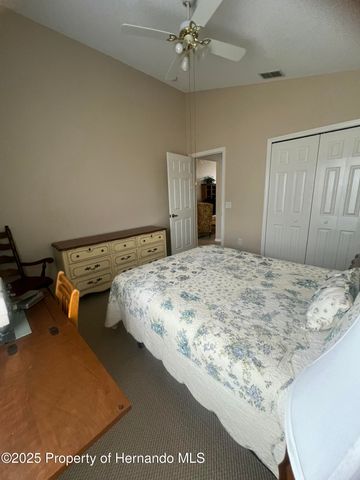 11425 Billingham Boulevard, Spring Hill, FL 34609