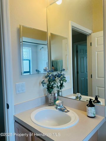 11425 Billingham Boulevard, Spring Hill, FL 34609