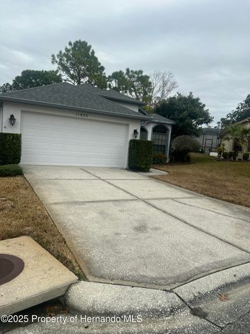 11425 Billingham Boulevard, Spring Hill, FL 34609