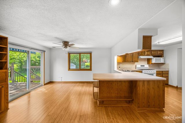 1129 Patricia Court, Schaumburg, IL 60193