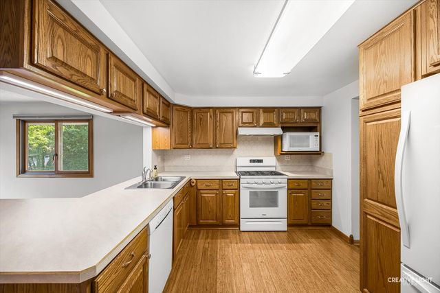 1129 Patricia Court, Schaumburg, IL 60193