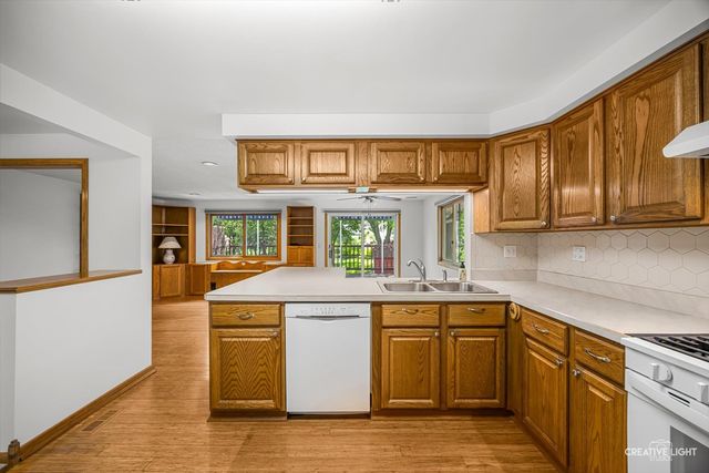 1129 Patricia Court, Schaumburg, IL 60193