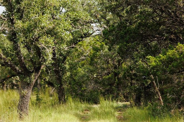 Lot 12 Ridgeway TRL, Johnson City, TX 78636