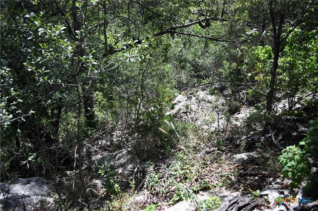 1318 Hidden Valley Drive, Spring Branch, TX 78070