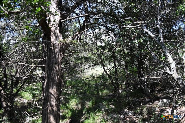 1318 Hidden Valley Drive, Spring Branch, TX 78070