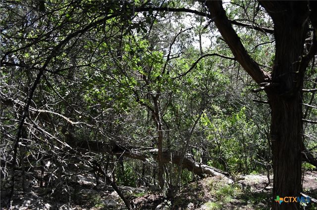 1318 Hidden Valley Drive, Spring Branch, TX 78070