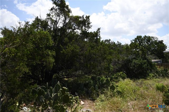1318 Hidden Valley Drive, Spring Branch, TX 78070