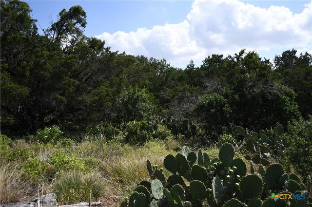 1318 Hidden Valley Drive, Spring Branch, TX 78070