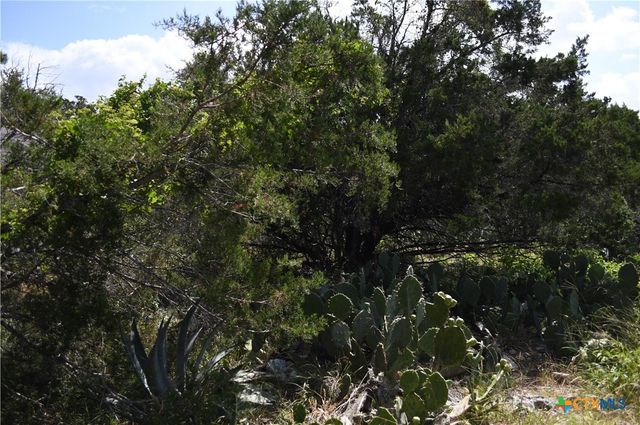 1318 Hidden Valley Drive, Spring Branch, TX 78070