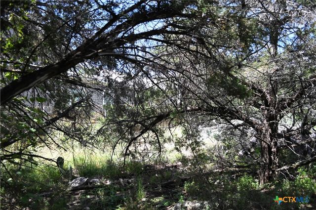 1318 Hidden Valley Drive, Spring Branch, TX 78070