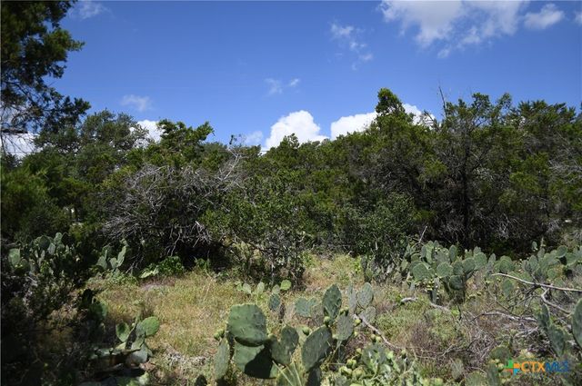 1318 Hidden Valley Drive, Spring Branch, TX 78070