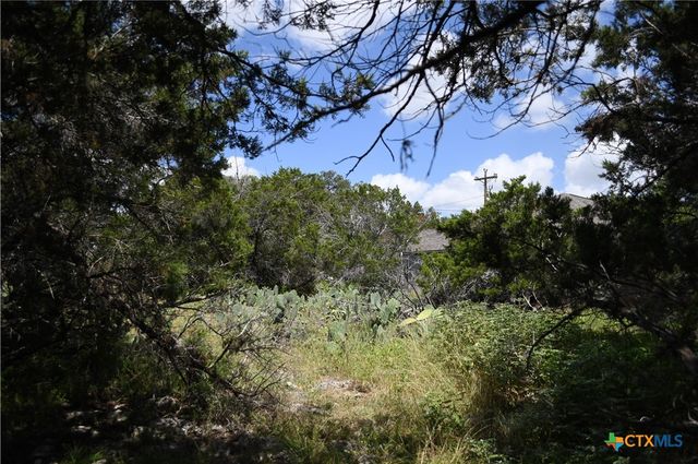 1318 Hidden Valley Drive, Spring Branch, TX 78070
