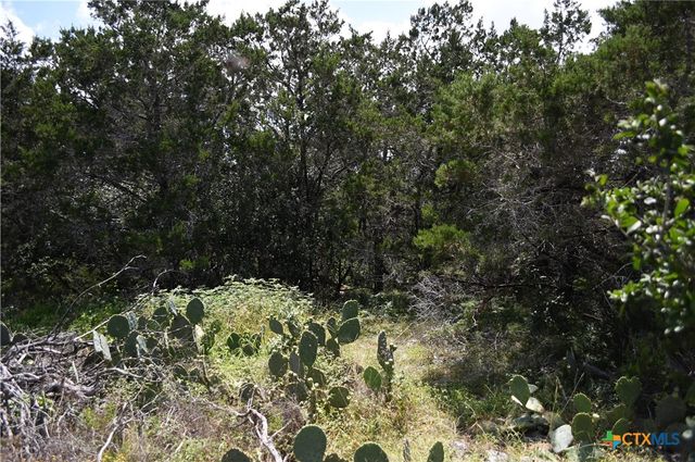 1318 Hidden Valley Drive, Spring Branch, TX 78070