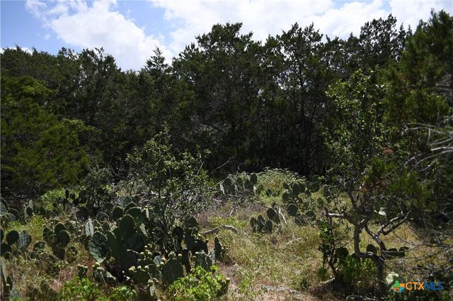 1318 Hidden Valley Drive, Spring Branch, TX 78070