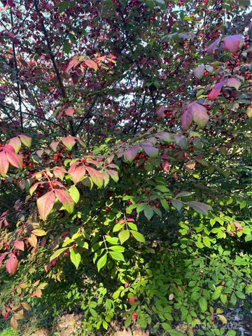 86 R and R Hyder Lane, Hendersonville, NC 28792