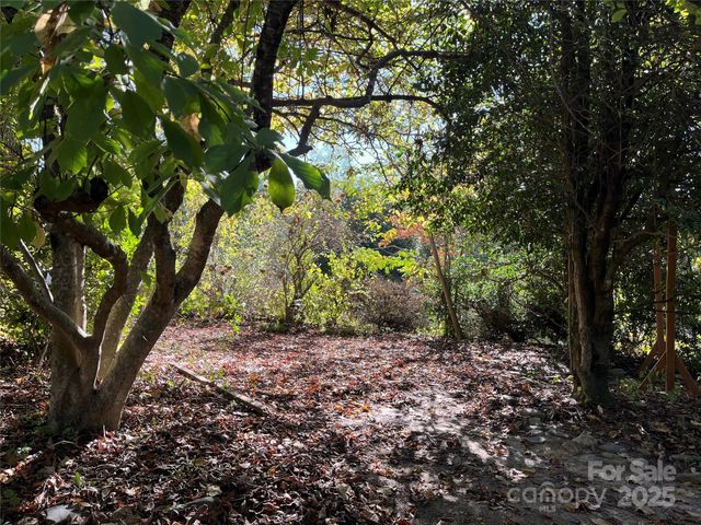 86 R and R Hyder Lane, Hendersonville, NC 28792