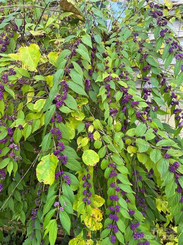 86 R and R Hyder Lane, Hendersonville, NC 28792