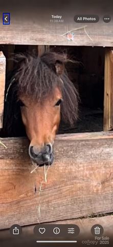 86 R and R Hyder Lane, Hendersonville, NC 28792