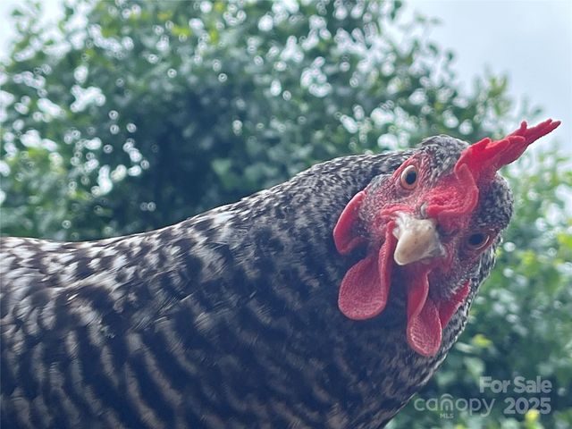 86 R and R Hyder Lane, Hendersonville, NC 28792