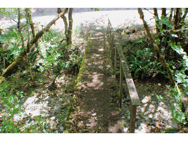 3450 SHOESTRING Rd, Riddle, OR 97469