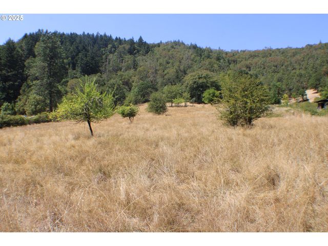 3450 SHOESTRING Rd, Riddle, OR 97469