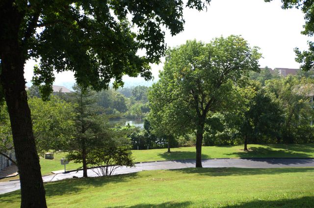 4 Memory Lane 1, Branson, MO 65616