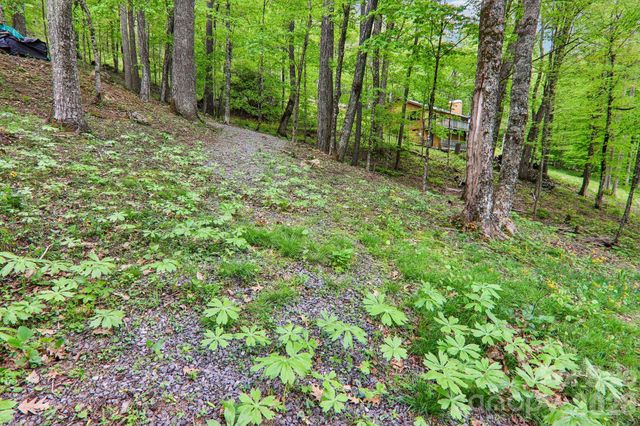101 Oak Ridge Court, Mars Hill, NC 28754