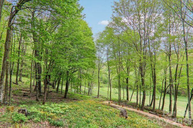 101 Oak Ridge Court, Mars Hill, NC 28754