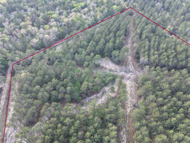 5300 State Highway 150, Coldspring, TX 77331