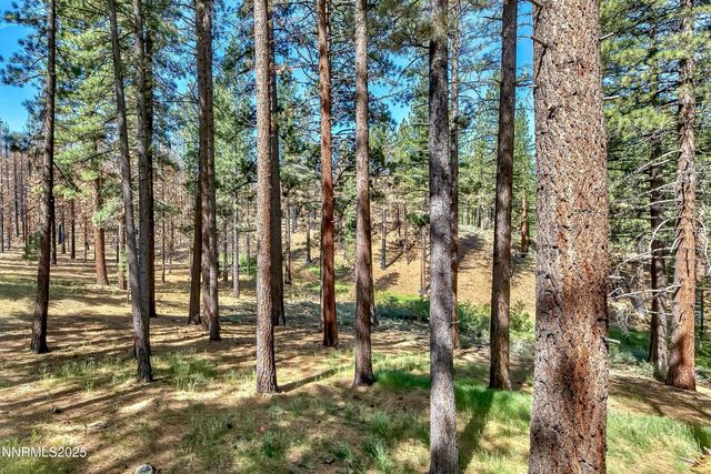 555 Pleasant Valley Road, Markleeville, CA 96120