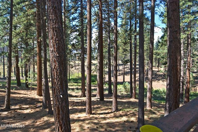 555 Pleasant Valley Road, Markleeville, CA 96120