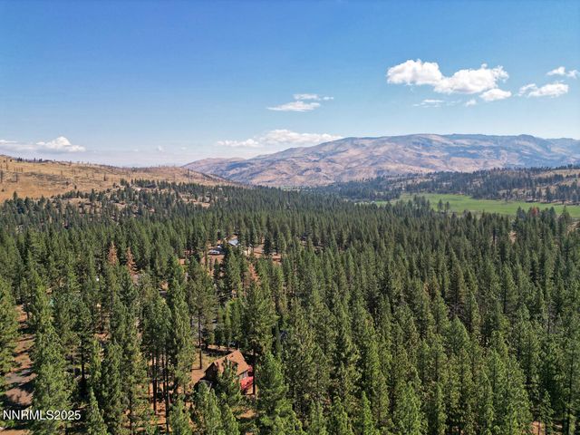 555 Pleasant Valley Road, Markleeville, CA 96120