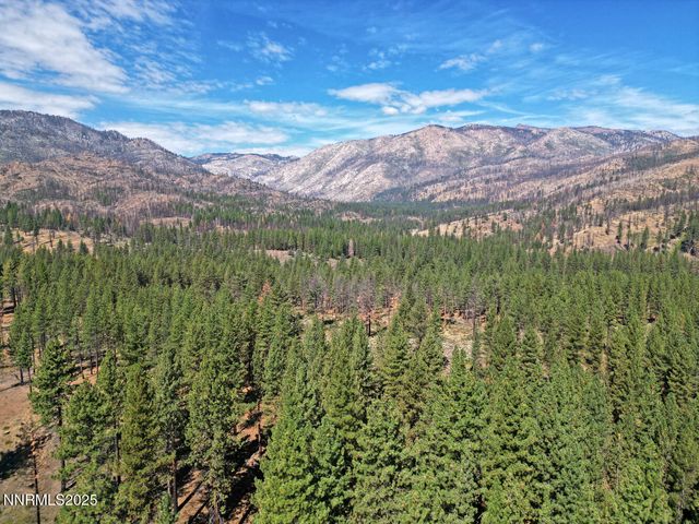 555 Pleasant Valley Road, Markleeville, CA 96120