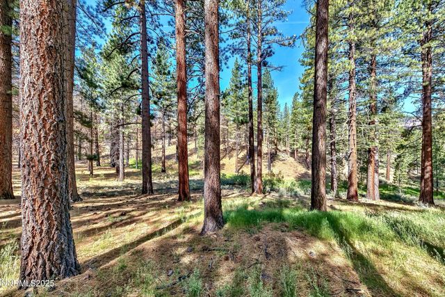 555 Pleasant Valley Road, Markleeville, CA 96120