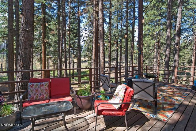 555 Pleasant Valley Road, Markleeville, CA 96120