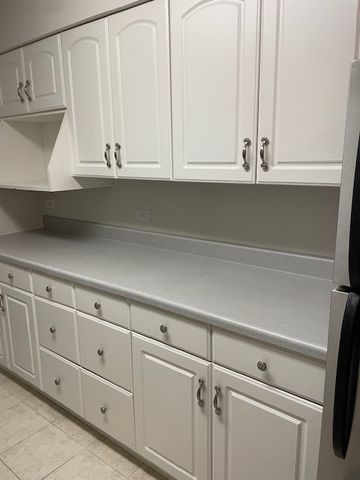 2730 Mitchell Drive 2, Woodridge, IL 60517