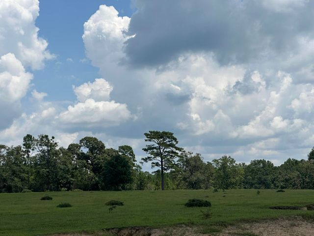 Lot 4 Bullard Road, Milton, FL 32570