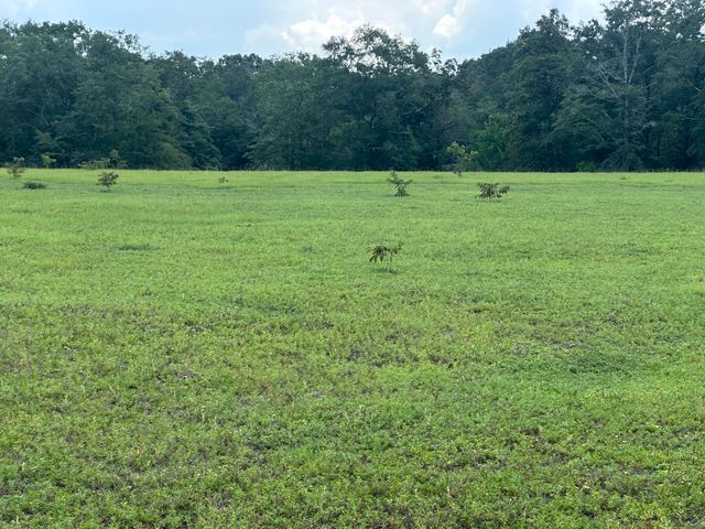 Lot 4 Bullard Road, Milton, FL 32570