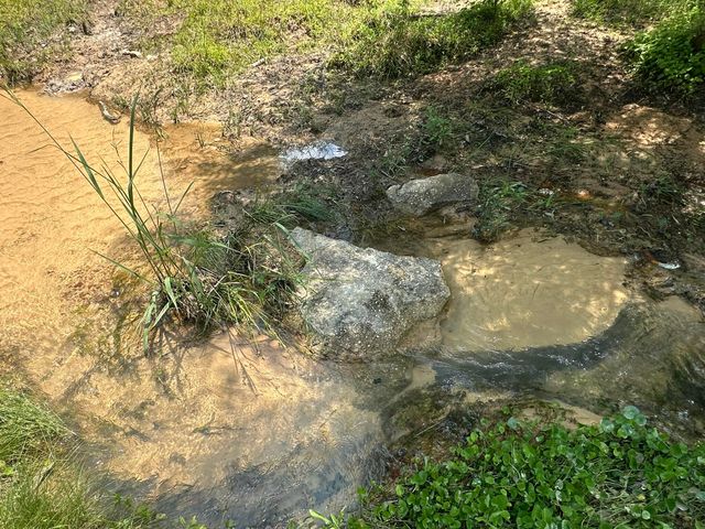 Lot 4 Bullard Road, Milton, FL 32570