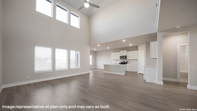 17204 Black Willow Way, Elmendorf, TX 78112