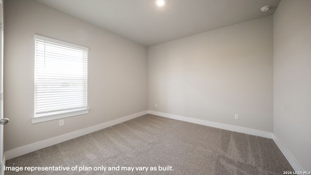 17204 Black Willow Way, Elmendorf, TX 78112