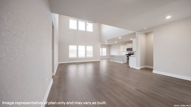17204 Black Willow Way, Elmendorf, TX 78112