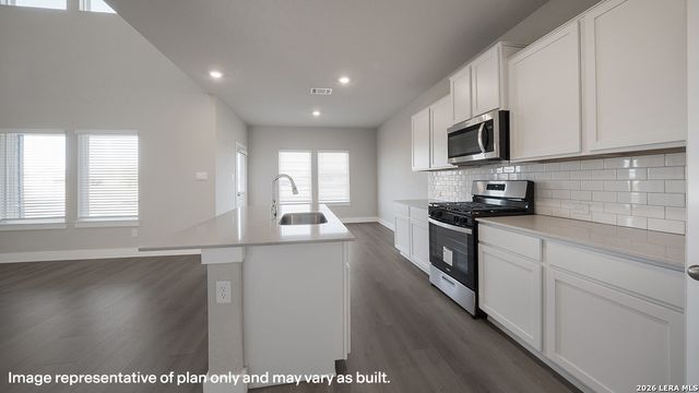17204 Black Willow Way, Elmendorf, TX 78112
