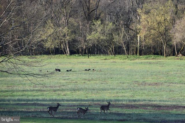 15403 FROGGY BOTTOM LN, Rixeyville, VA 22737