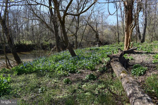 15403 FROGGY BOTTOM LN, Rixeyville, VA 22737