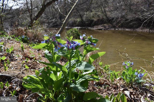 15403 FROGGY BOTTOM LN, Rixeyville, VA 22737