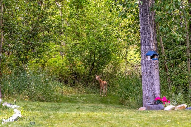 106 Milky Way Drive, Bozeman, MT 59718